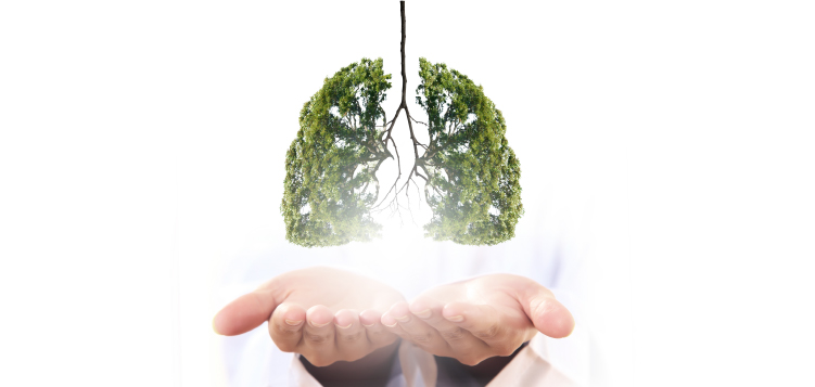 Accuris Lung CA plus (EGFR + ALK + ROS1 + PDL1) in Mahuva